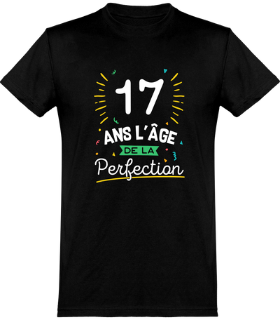  T shirt homme 17 ans la perfection