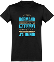  T shirt homme je suis normand