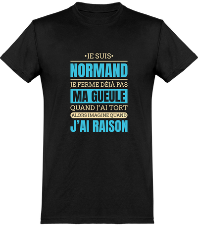  T shirt homme je suis normand