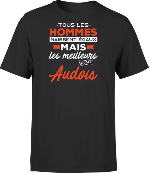 T shirt homme Les meilleurs sont audois