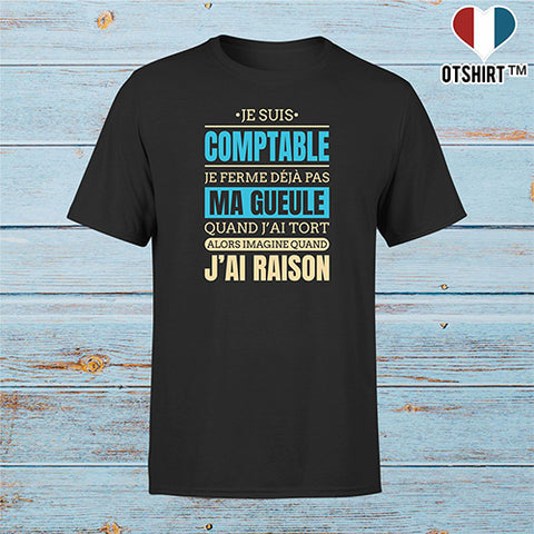 T shirt homme j ai raison je suis comptable