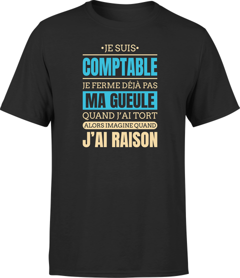 T shirt homme j ai raison je suis comptable