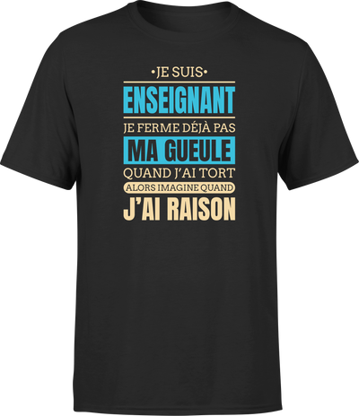 T shirt homme j ai raison je suis enseignant