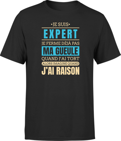 T shirt homme j ai raison je suis expert