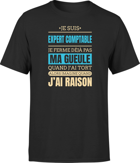 T shirt homme j ai raison je suis expert comptable